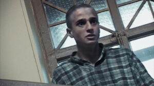 The Edelweiss Pirates