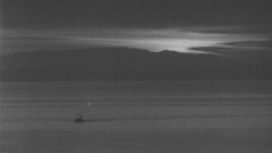 Minamata: The Victims and Their World