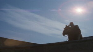 Never Say Never Again