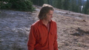 Adventures of the Wilderness Family 2