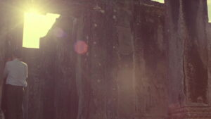 In the Mood for Love