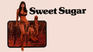 Sweet Sugar