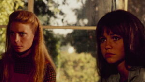 Maybe I’ll Come Home in the Spring