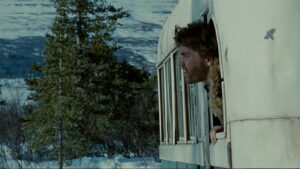 Into the Wild