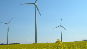 The Nature of Things