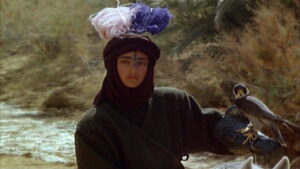 The Dove’s Lost Necklace