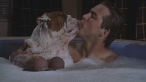 National Lampoon’s Van Wilder