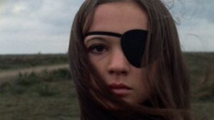 Thriller: A Cruel Picture