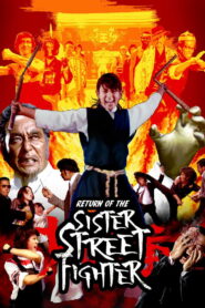 The Return of Sister Street Fighter