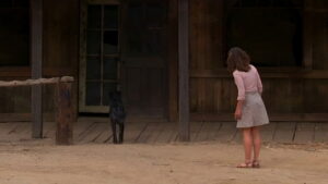 Don’t Go Near the Park