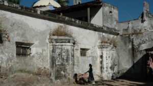 The Citrillo’s Turn