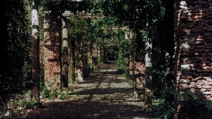 The Prince and the Nature Girl