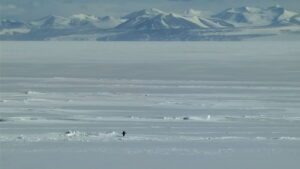 Encounters at the End of the World