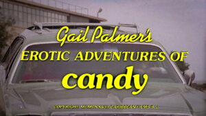 Erotic Adventures of Candy