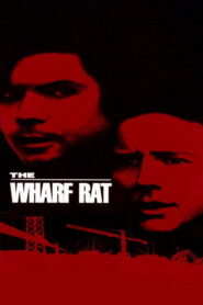 The Wharf Rat