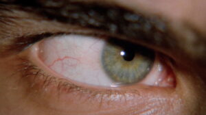 The Bloodstained Shadow