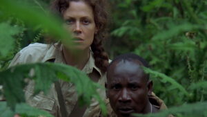 Gorillas in the Mist