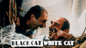 Black Cat, White Cat