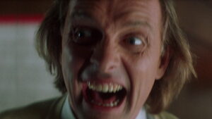 Guest House Paradiso