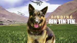 Finding Rin Tin Tin