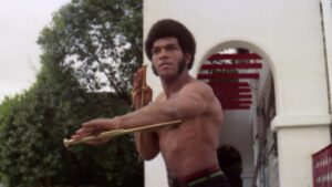 Black Dragon’s Revenge