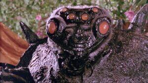 Wizards of the Lost Kingdom