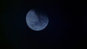 An American Werewolf in London