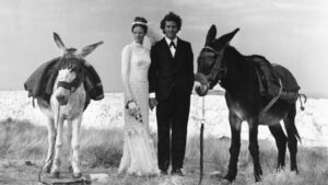 Love and Pain and the Whole Damn Thing