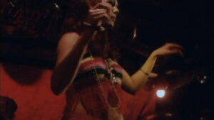 Sinner: The Secret Diary of a Nymphomaniac