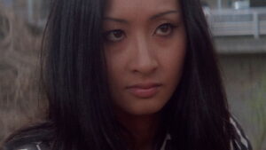 Stray Cat Rock: Delinquent Girl Boss