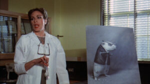 Rock ‘n’ Roll High School