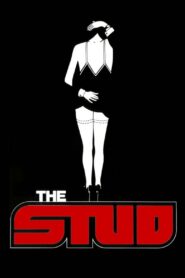 The Stud