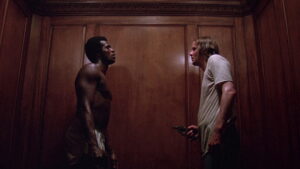 Report to the Commissioner