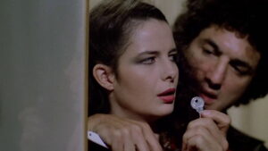 House on the Edge of the Park