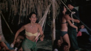 Tintorera: Killer Shark