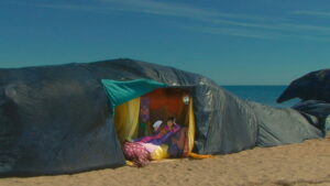 The Beaches of Agnès