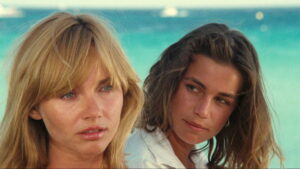 Year of the Jellyfish