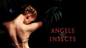 Angels and Insects