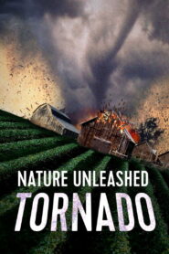 Nature Unleashed: Tornado