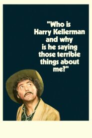 Who Is Harry Kellerman and Why Is He Saying Those Terrible Things About Me?