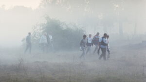 A Swedish Love Story