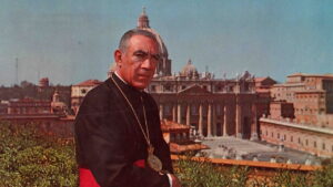 The Shoes of the Fisherman