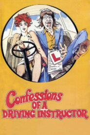 Confessions of a Driving Instructor