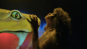 Auntie Lee’s Meat Pies