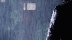 The Forbidden Photos of a Lady Above Suspicion