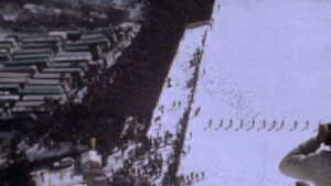 The Great Ecstasy of Woodcarver Steiner