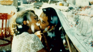 Black Cat, White Cat