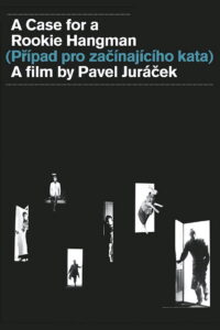 A Case for a Rookie Hangman