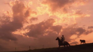 A Distant Cry from Spring