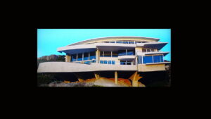 Flashbacks of a Fool